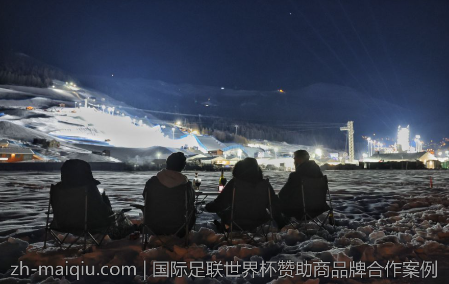 国际足联世界杯赞助商品牌合作案例